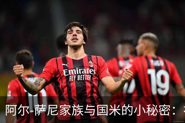 阿尔-萨尼家族与国米的小秘密：初步来电还没谈情