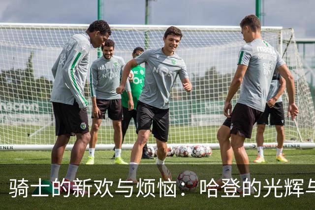 骑士的新欢与烦恼：哈登的光辉与双塔的阴霾